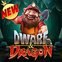 Dwarf Dragon